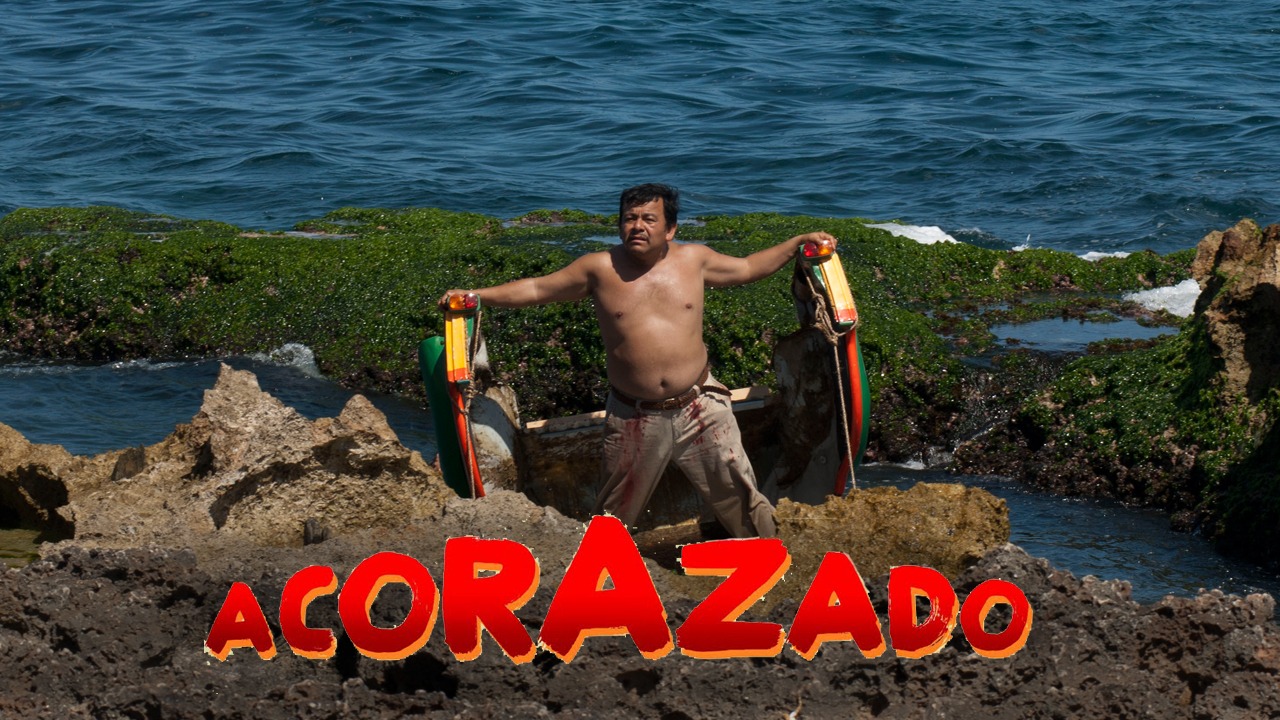 Acorazado | Películas como Súper cool