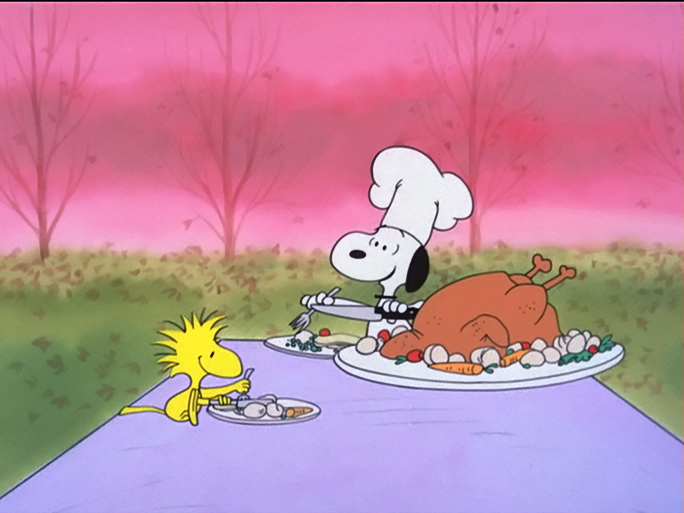 El día de acción de gracias de Charlie Brown | Las mejores películas de Acción de Gracias