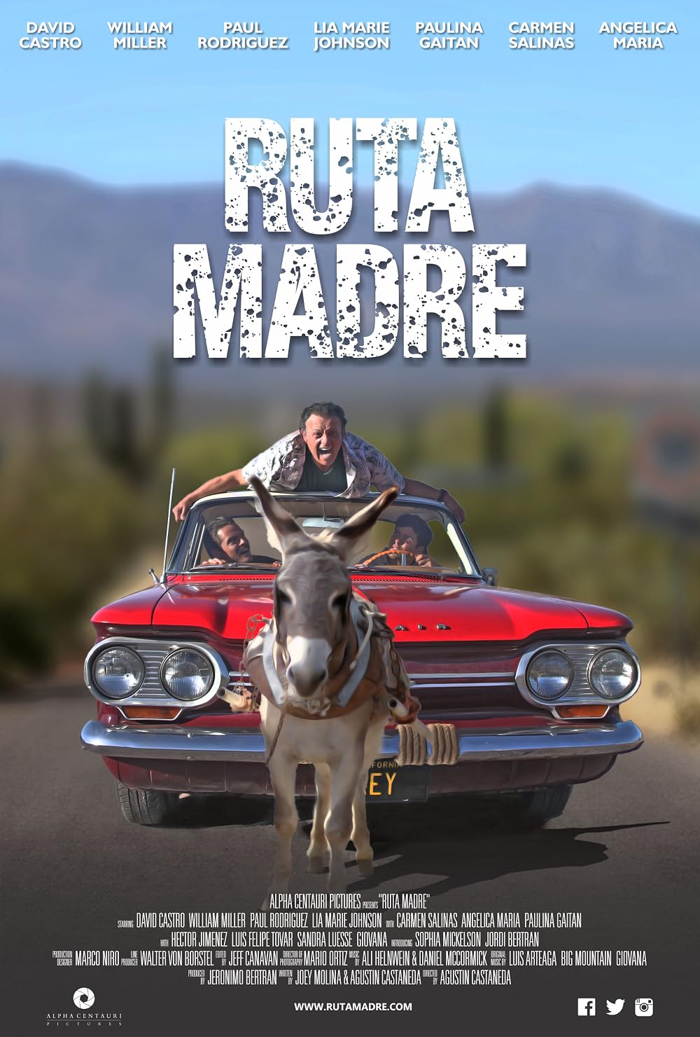 Ruta madre | Películas como Y tu mamá también